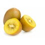 Acheter en gros KIWI JAUNE CASE - cash-alimentaire.com