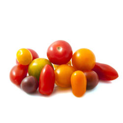 Distributeur alimentaire de TOMATE WIL TOM CHERRY - cash-alimentaire.com