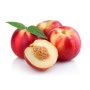 Achat en ligne de NECTARINE BLANCHE CASE - cash-alimentaire.com