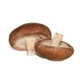 Grossiste alimentaire de CHAMPIGNON SHITAKE VIALADE - cash-alimentaire.com