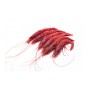 Grossiste alimentaire de CREVETTE ENTIERE ROUGE - cash-alimentaire.com