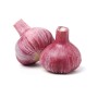 Distributeur alimentaire de AIL VIOLET FERME FONTENAY - cash-alimentaire.com