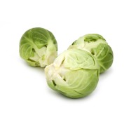 Achat en ligne CHOU BRUXELLE TERRE DE CHOUX - cash-alimentaire.com