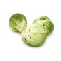 Achat en ligne CHOU BRUXELLE TERRE DE CHOUX - cash-alimentaire.com