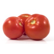 Distributeur alimentaire de TOMATE RONDE FLANDRIA