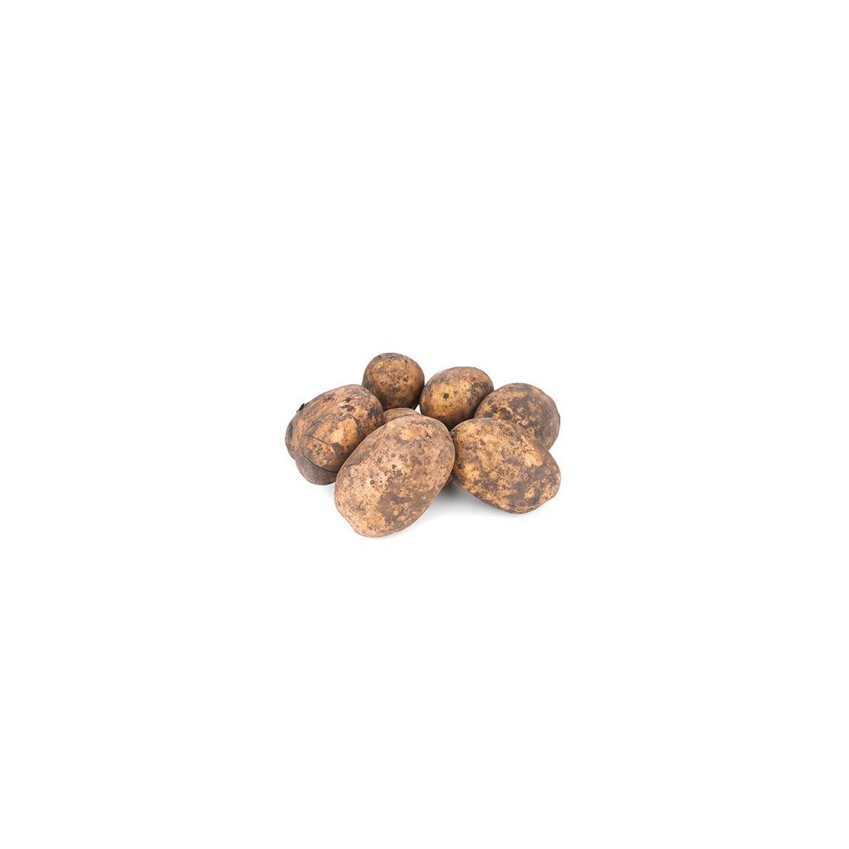 Distributeur alimentaire de POMME DE TERRE AGRIA CASE à cash-alimentaire.com