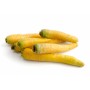 CAROTTE JAUNE PRINCE BRETAGNE produits de gros sur cash-alimentaire.com