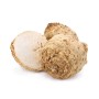CELERI RAVE produits de gros sur cash-alimentaire.com