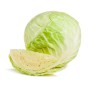 CHOU BLANC PRINCE BRETAGNE à prix grossiste sur cash-alimentaire.com