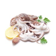 BABY POULPE NETTOYE EBI à prix grossiste sur cash-alimentaire.com