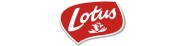 Ventes en gros LOTUS