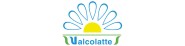 VALCOLATTE au prix de gros