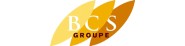 BCS au prix de gros